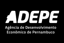 Novo Projeto (13)